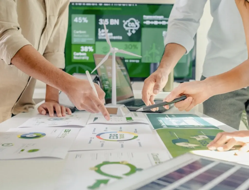 Riccabonna & Zauner Development Governance